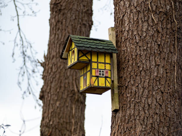 istock Birdhouse on a tree. Beautiful birdhouse in the forest. 1454865838
