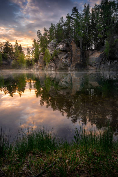 istock Vertical shot of a lake in a forest during sunset 1454866725