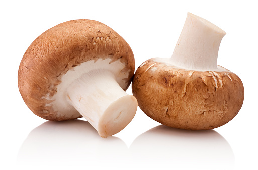 Two champignon mushrooms isolated on a white background