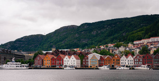 ノルウェーの海岸の眺め - norwegian sea ストックフォトと画像