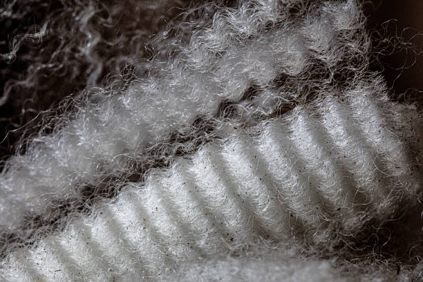istock SOUTH AFRICAN MERINO WOOL: Wool Fleece 1454873502