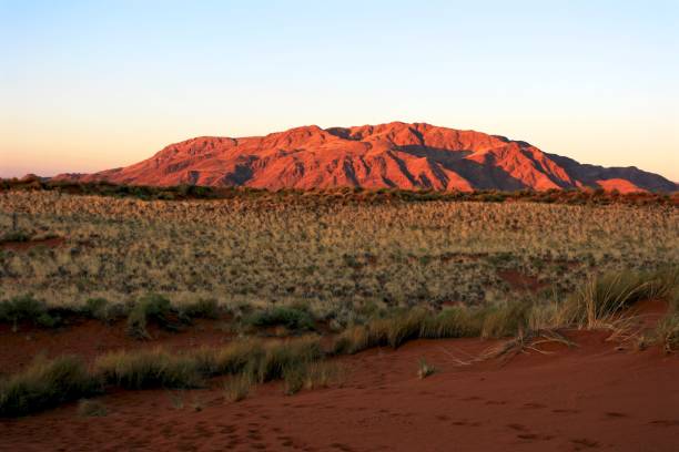 istock Panoramic view of Namib rand desert during sunset, Namibia 1454873626