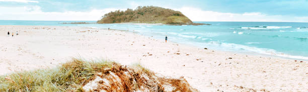 Horizontal panoramic view of coastal grasses growing on a sand dune, a sand beach, turquoise coloured ocean and an island on the horizon at Tabourie near Ulladulla, south coast NSW in Summer.