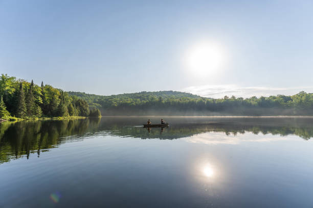 istock Couple canoeing in early morning. 1454875029
