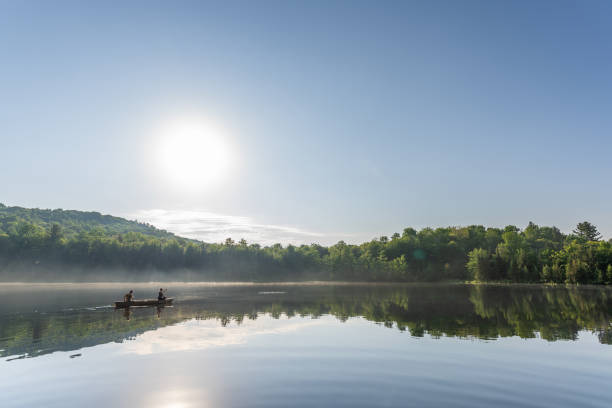 istock Couple canoeing in early morning. 1454875084