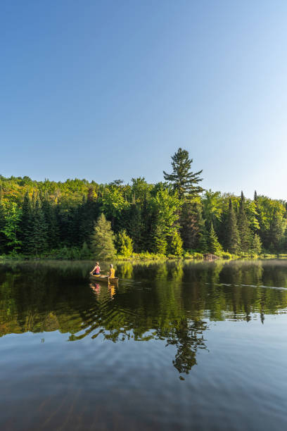 istock Couple canoeing in early morning. 1454875098