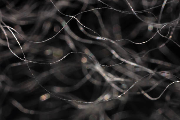 Ultra-macro image of isolated wool fibers. Shot in Namaqualand, Northern Cape Province, South Africa.
