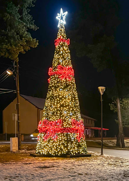 istock Illuminated and decorated Christmas tree, covered with snow. 1454879851
