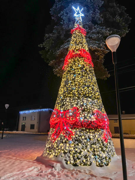 istock Illuminated and decorated Christmas tree, covered with snow. 1454879887