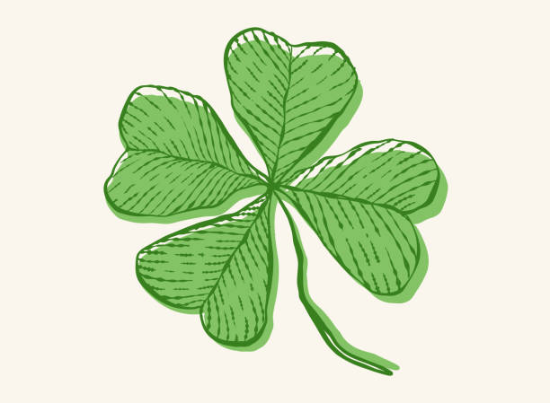 Vintage green lucky clover with four leaf in hand drawing style for Patrick's day. Vector vintage icon of clover for Patrick's day. Vintage green lucky clover with four leaf in hand drawing style. clover leaf stock illustrations