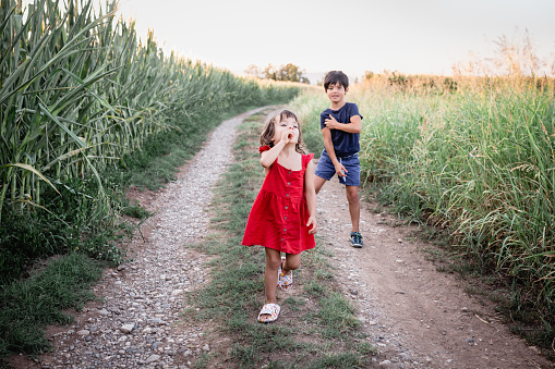 two happy girls in a red dress and in blue tshirt walking on the road in a corn field