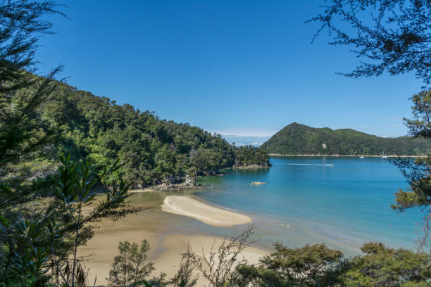 istock New Zealand through bushes 1454884905