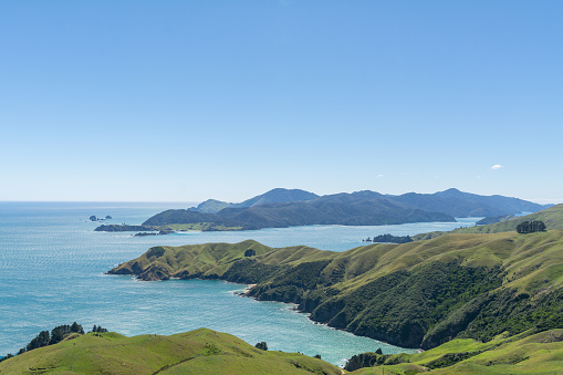 Green new Zealand landscapes with scenic sea views