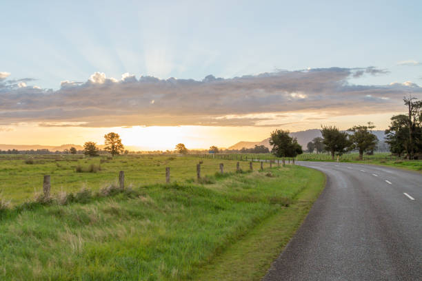 istock road sunset in New Zealand 1454885836