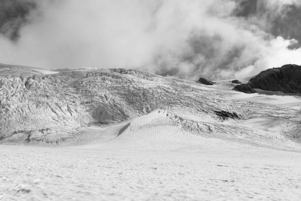 istock Pure New Zealand at Fox glacier 1454885880