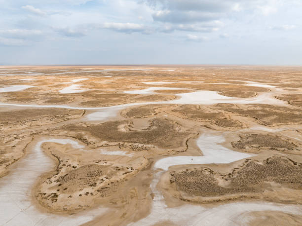 istock Natural shapes and textures on lake 1454885895