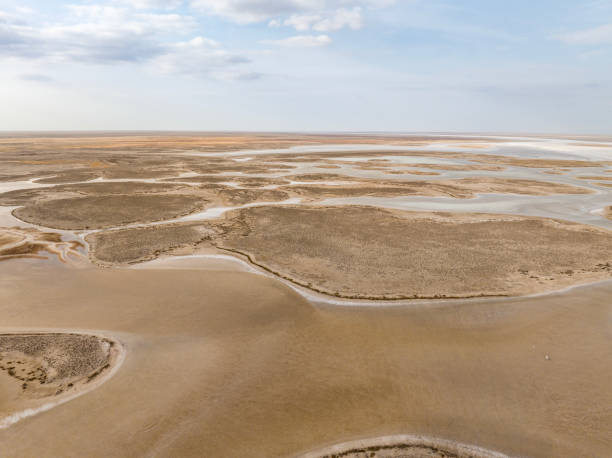 istock Natural shapes and textures on lake 1454885988