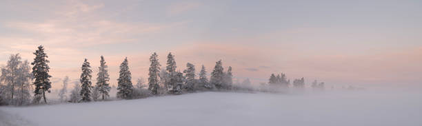 istock Winter dressed in snow and frost 1454887845