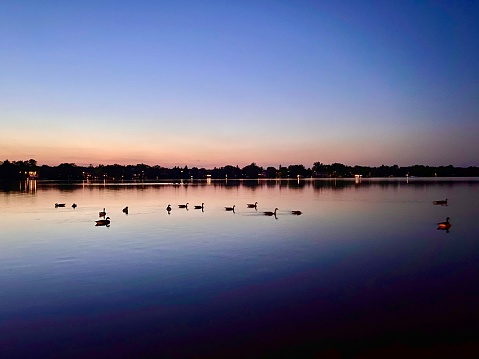 A scenic landscape of the silhouettes of ducks swimming in a lake during a colorful sunset