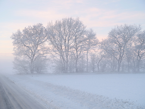 Danish nature in wintertime - dressed in frost and snow