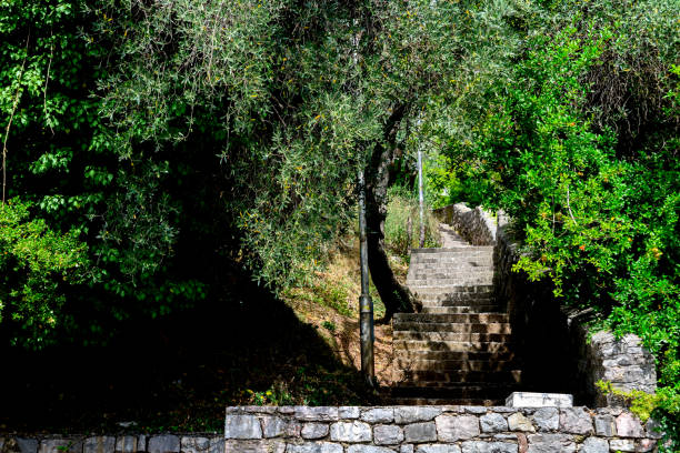 istock Stone staircase in the park 1454887966