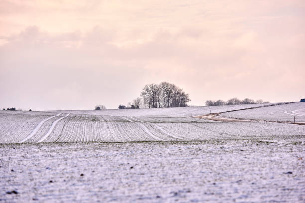 istock Winter dressed in snow and frost 1454887983