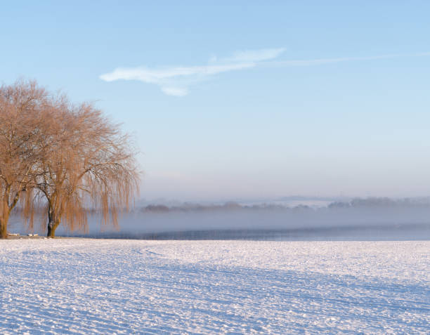 Danish nature in wintertime - dressed in frost and snow