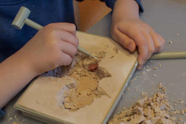 istock A child with the help of a geologist's kit extracts a jasper in a plaster cast 1454890091