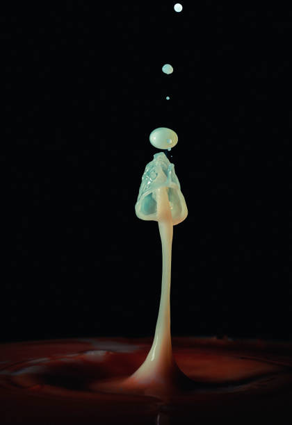 istock image of falling drops of milk colliding with each other 1454893128