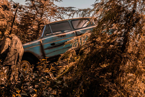 wrecked car crashed in tree stock photo