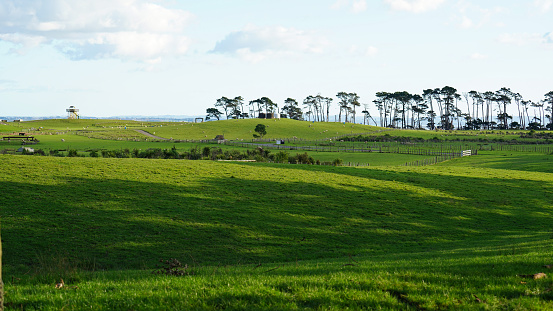 Puhinui Reserve, the site of the volcanic Puhinui Craters in Manukau, Auckland, New Zealand
