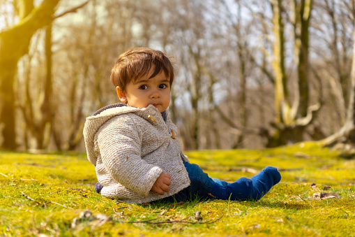 One year old boy sitting in the forest one spring morning, looking at the camera in the sunset