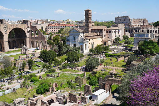 Panorama of the Roman Forum archaeological site in Rome, Italy
