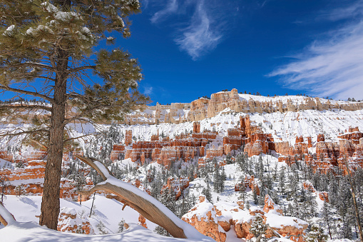 Bryce Canyon, National park in winter, Utah