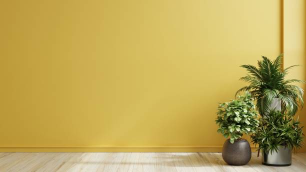 istock Yellow wall empty room with plants on a floor. 1454911058