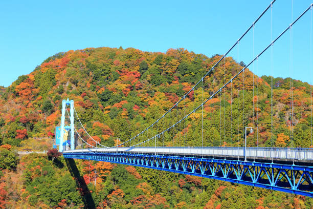 Ryujin Suspension Bridge in autumn with beautiful autumn leaves Ryujin Suspension Bridge in autumn with beautiful autumn leaves ibaraki prefecture stock pictures, royalty-free photos & images