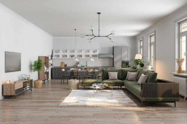 Modern Living Room Interior With Corner Sofa, Houseplant, Television Set And Open Plan Kitchen