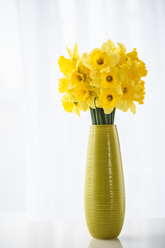 Bouquet of daffodils tulips and fleur-de-lises on white background. Typical spring and Easter flowers.