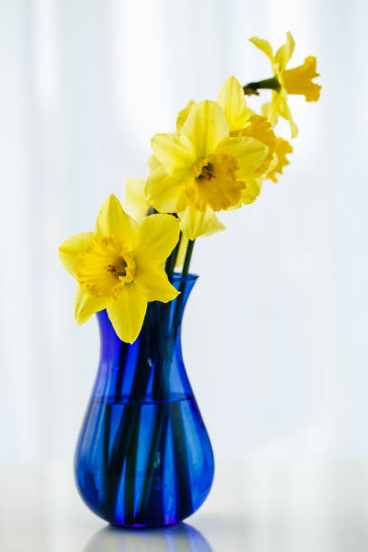 istock Simplicity is the key to decorate 1454927050