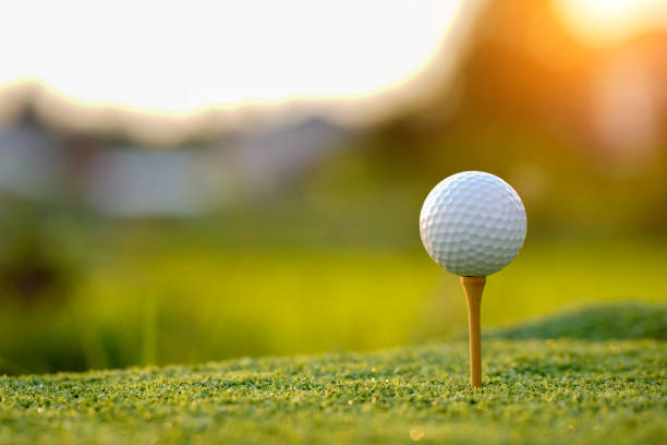 pallina da golf su tee nel campo da golf serale con sfondo sole - golf foto e immagini stock