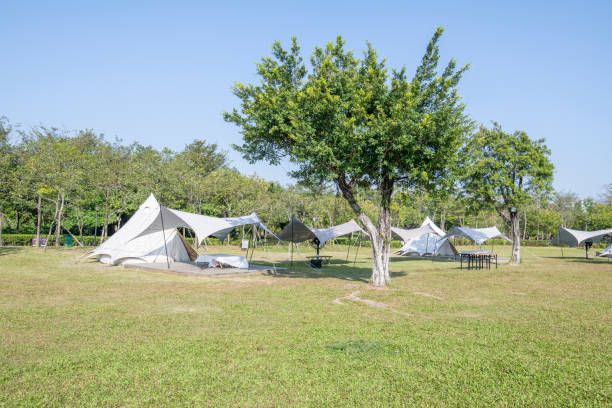 istock Camping tents on the park grass under a clear sky 1454928279