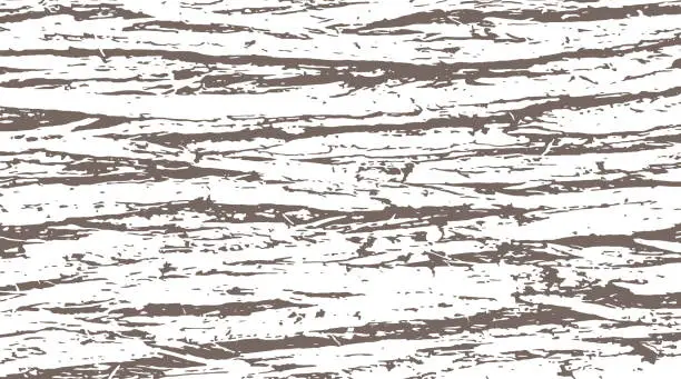 Vector illustration of Cedar bark texture