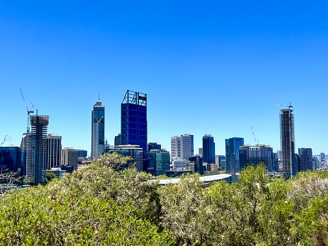 The bush in the middle of the city… perth skyline viewed from Kings Park