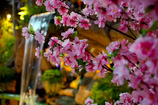 An overview of cherry blossom decorations at Thean Hou Temple, Malaysia