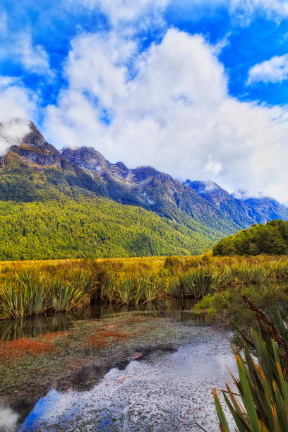 nz mirror lake rocks vert - te anau foto e immagini stock