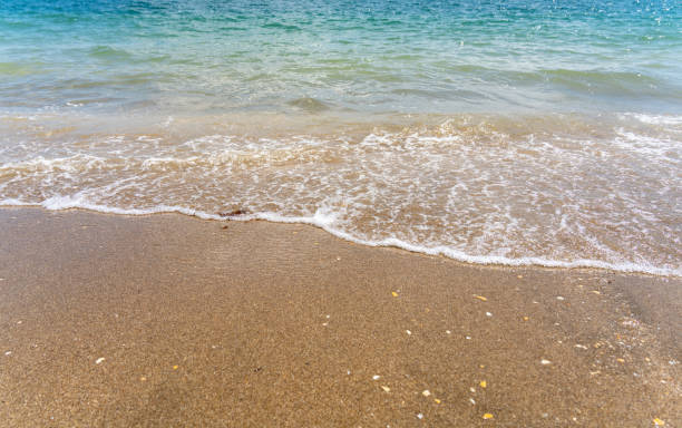 vague blanche douce sur le sable - false bay photos et images de collection
