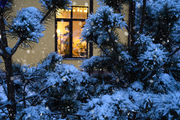 Cozy festive window of the house outside with the warm light of fairy lights garlands inside - celebrate Christmas and New Year in a warm home. Christmas tree, bokeh, snow on pine trees and snowfall stock photo