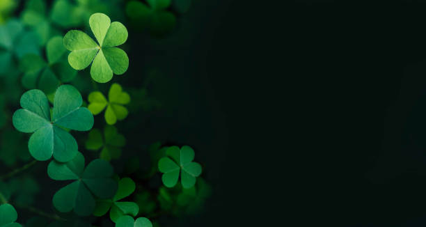 istock Clover Leaves for Green background with three-leaved shamrocks. st patrick's day background, holiday symbol 1454943213