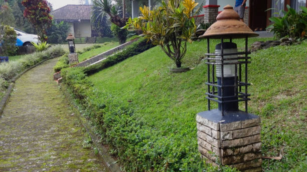 istock footpath in one corner of the villa 1454944165