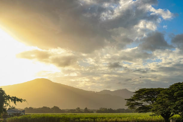 istock Golden hour over Cairns — Far North Queensland, Australia 1454945718